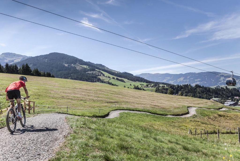 Alpenblick Maria Alm am Steinernen Meer